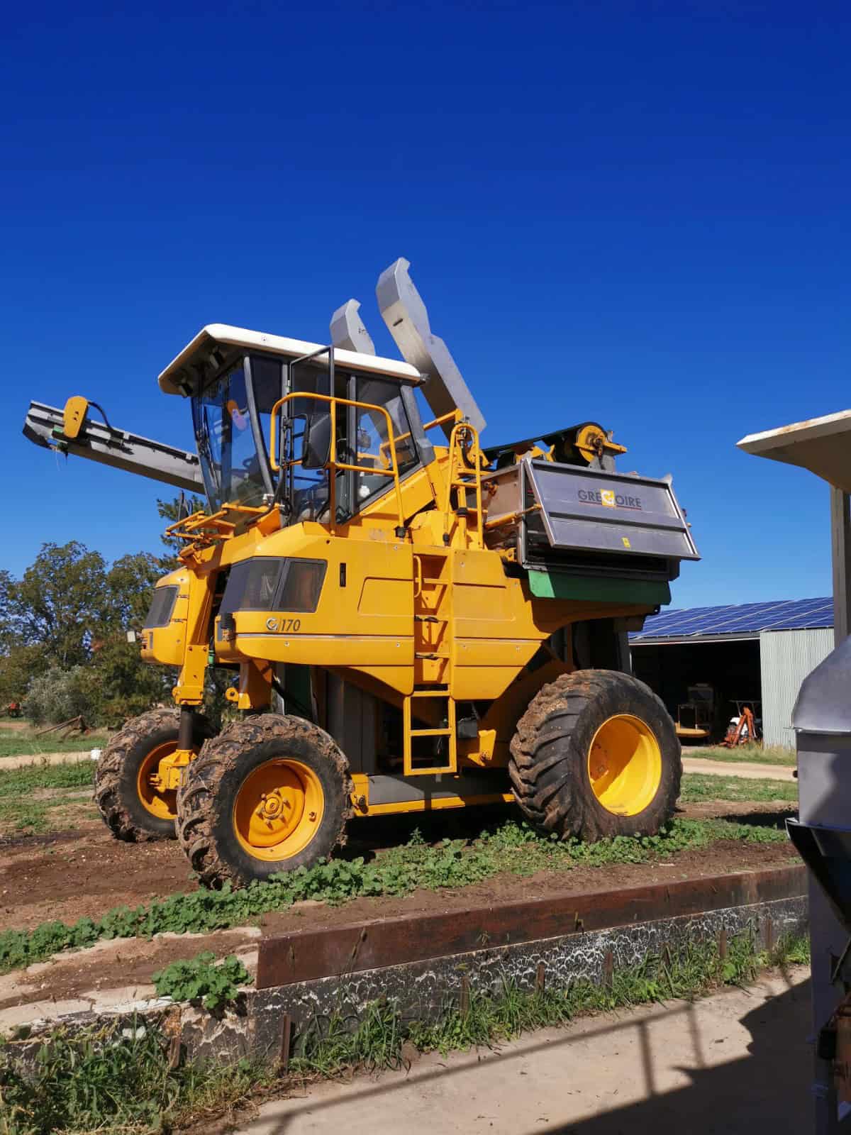 Gregoire G170 Grape Harvester ( same size as G8 ) / with 3 Row Croplands Sprayer